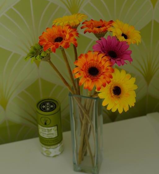 Bed and Breakfast Quality Bnb Close To Airport 12