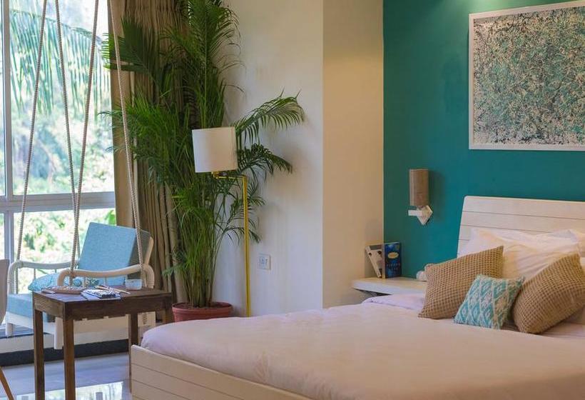 Bed and Breakfast Curioso Studio & Suites 11