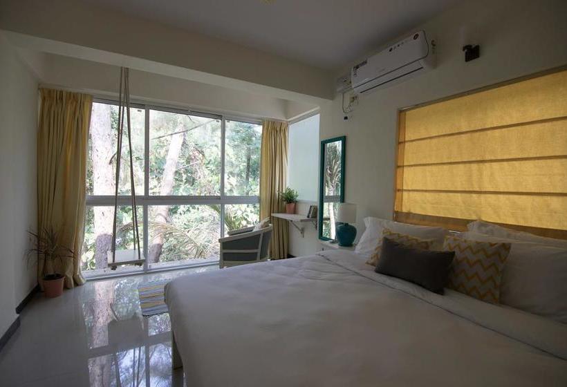 Bed and Breakfast Curioso Studio & Suites 17