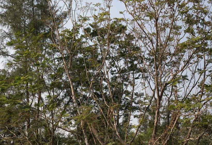 Bed and Breakfast Curioso Studio & Suites 2