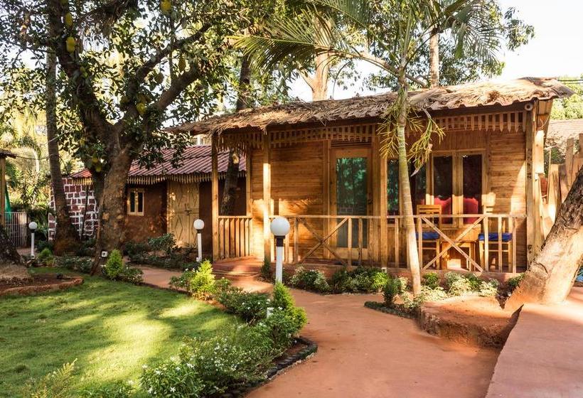 Bed and Breakfast Micailla S Garden Of Dreams 11