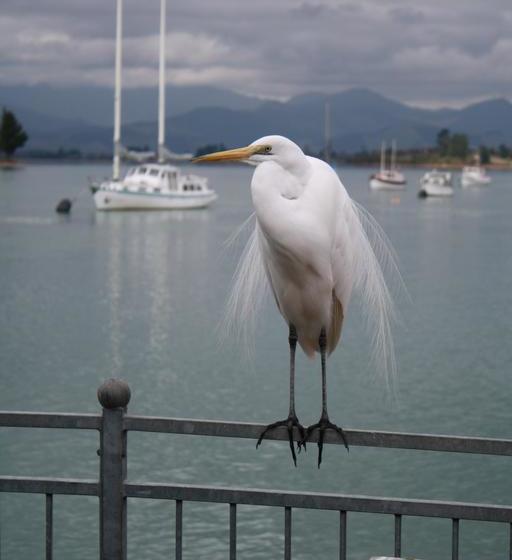Bed and Breakfast Mapua Wharf Accommodation 11
