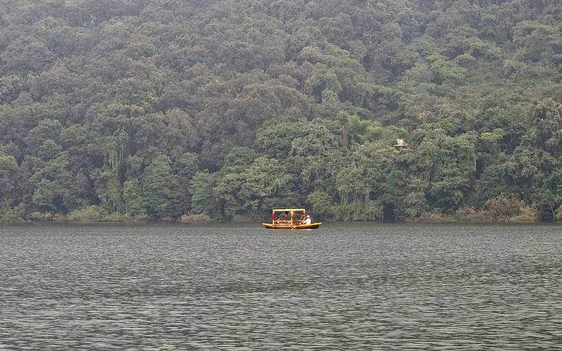 Hotel Spring Birds 1