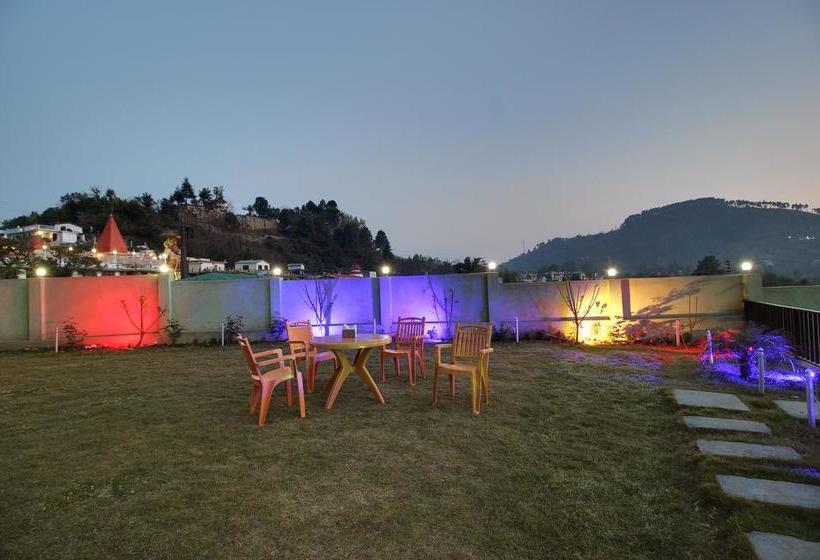 Hotel Spring Birds 10