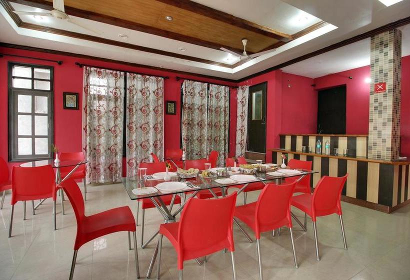 Hotel Spring Birds 11