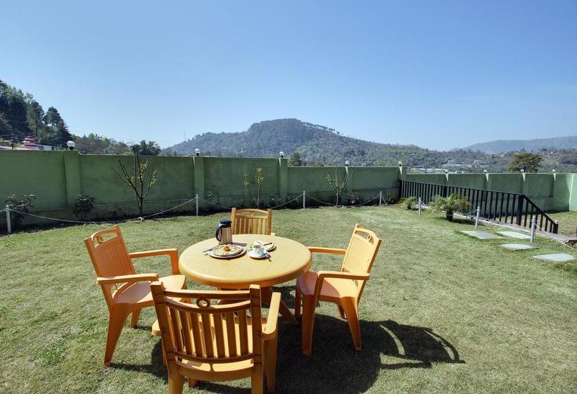 Hotel Spring Birds 12