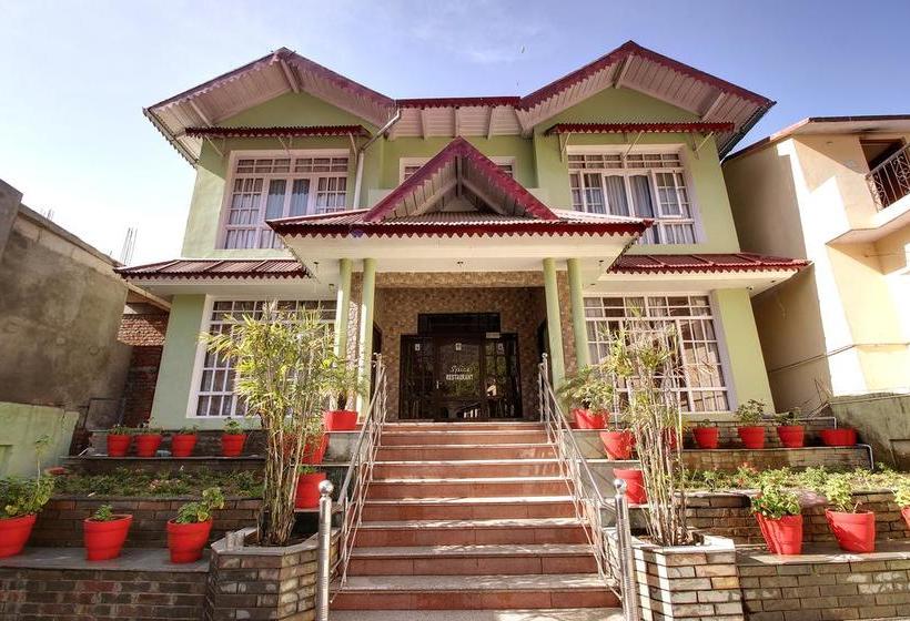 Hotel Spring Birds 13