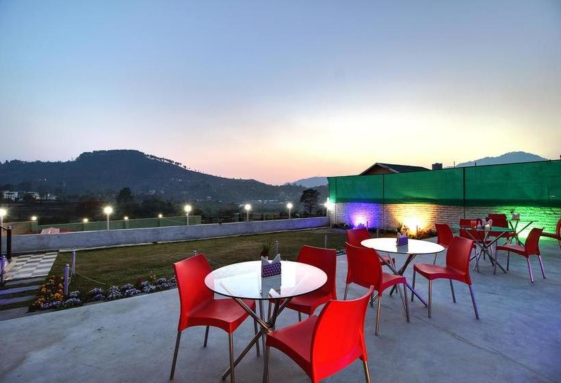 Hotel Spring Birds 15