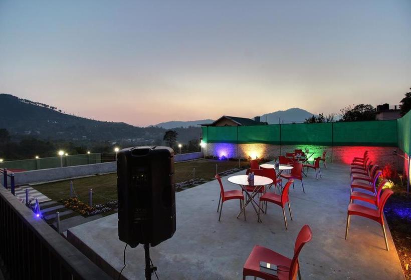 Hotel Spring Birds 16