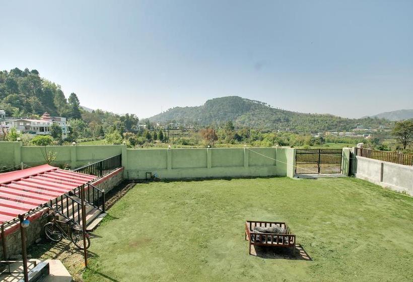 Hotel Spring Birds 18