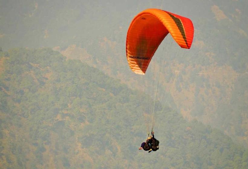 Hotel Spring Birds 2