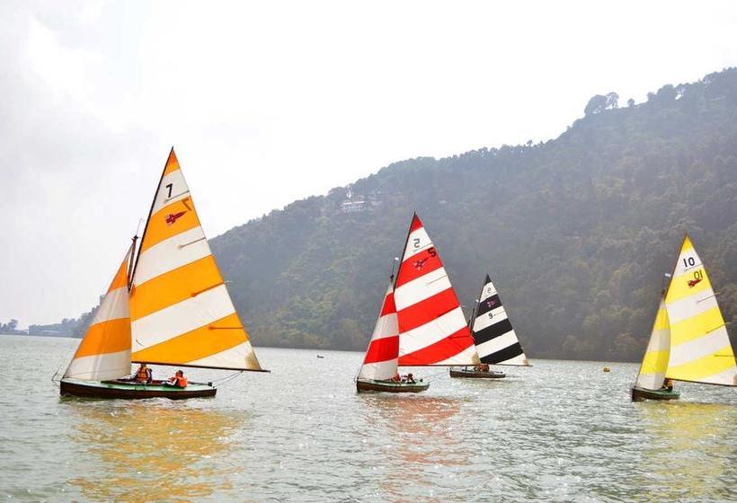 Hotel Spring Birds 3