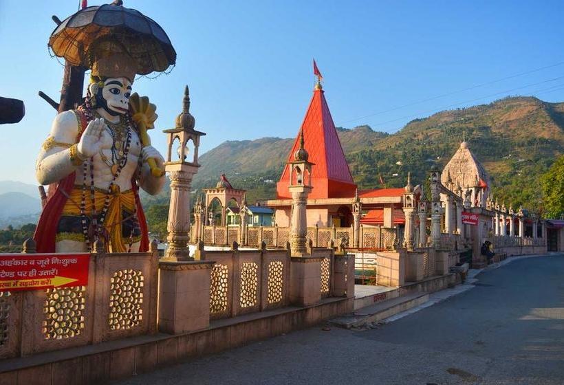 Hotel Spring Birds 4