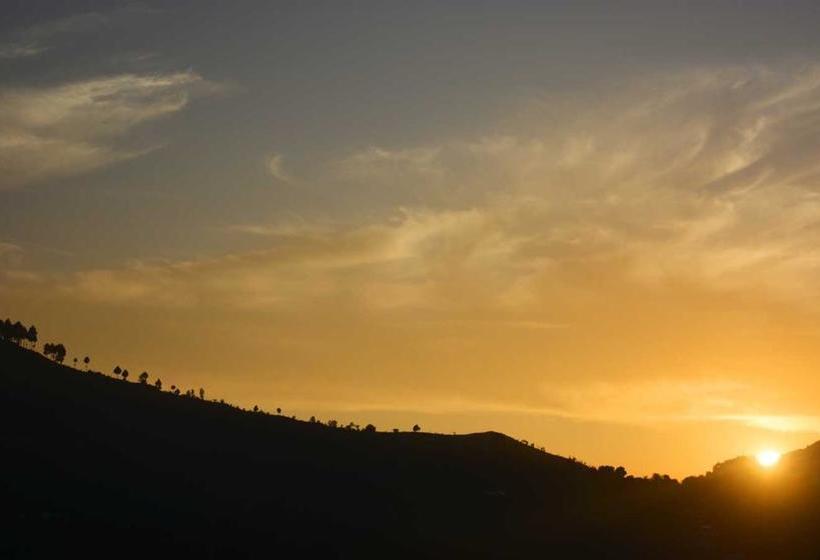 Hotel Spring Birds 5