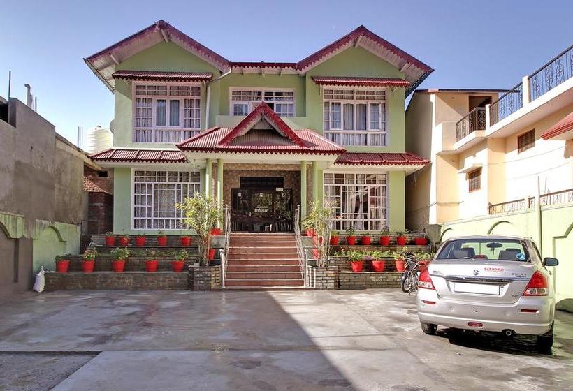 Hotel Spring Birds 7