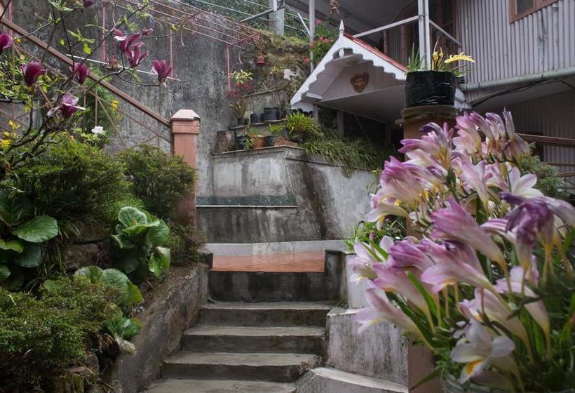 Bed and Breakfast Little Singamari Home Stay 7