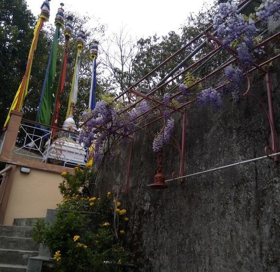 Bed and Breakfast Little Singamari Home Stay 8