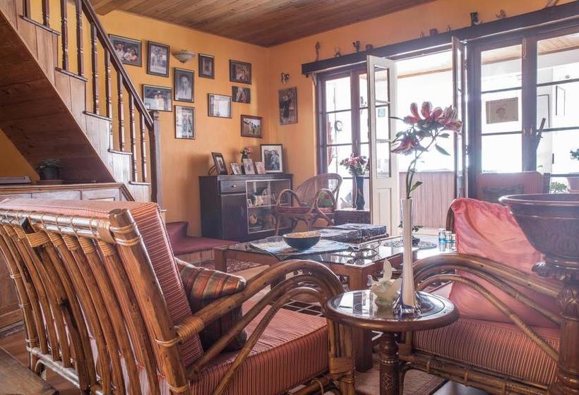 Bed and Breakfast Little Singamari Home Stay 9