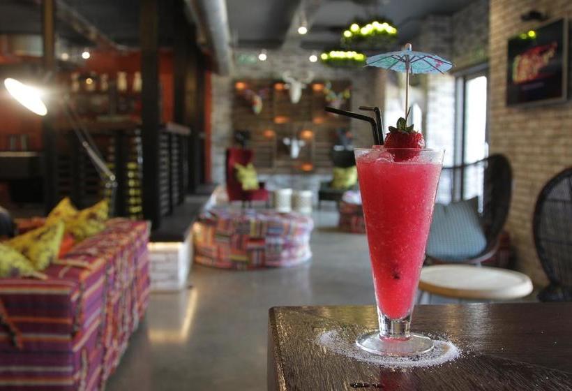 Hotel 26° South Bush Boho 10