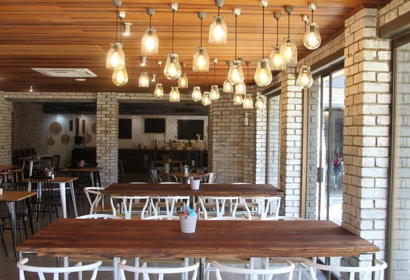 Hotel 26° South Bush Boho 6