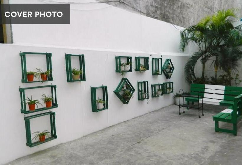 Bed and Breakfast The Bougainvillea