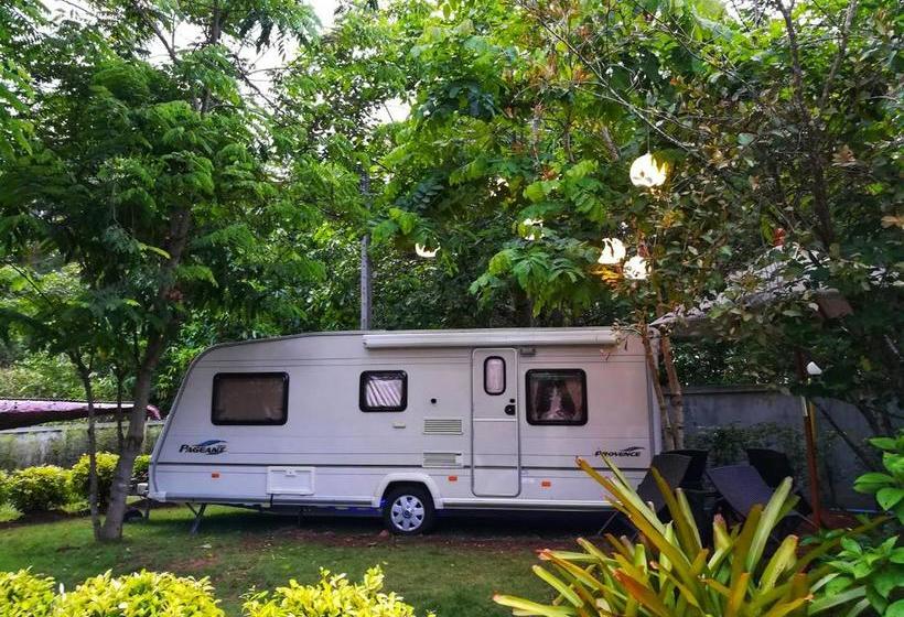 Doithinnan Resort 11