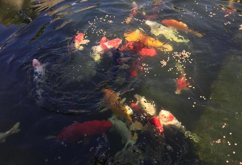 Resort Kiengkong Chalets 18