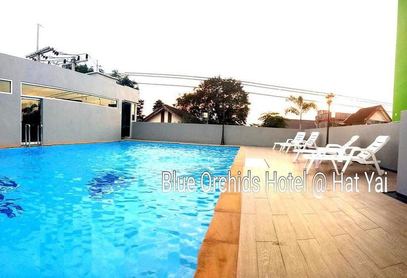 Hotel Blue Orchids 1