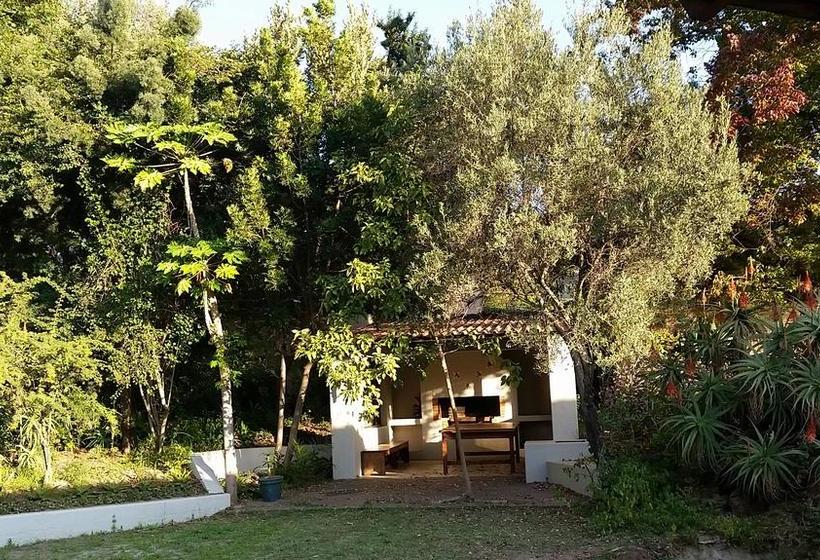 Hôtel Amberhall Guesthouse 1