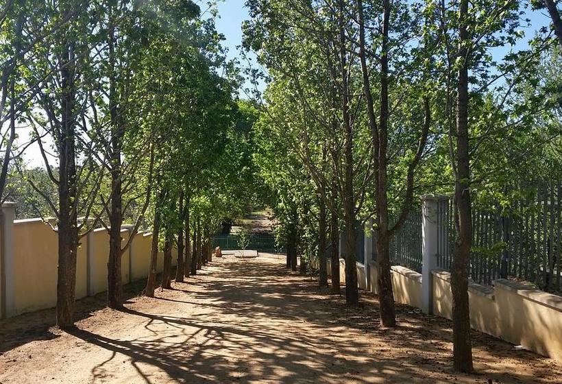 Hôtel Amberhall Guesthouse 10