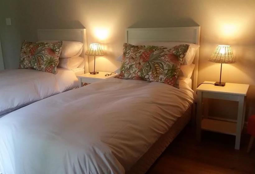 Hôtel Amberhall Guesthouse 20