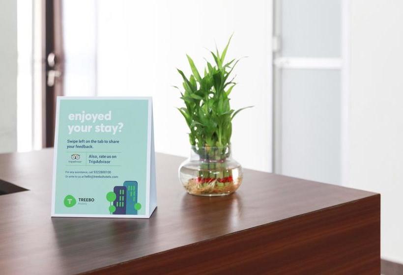 Hotel Treebo Annaya Royals 6