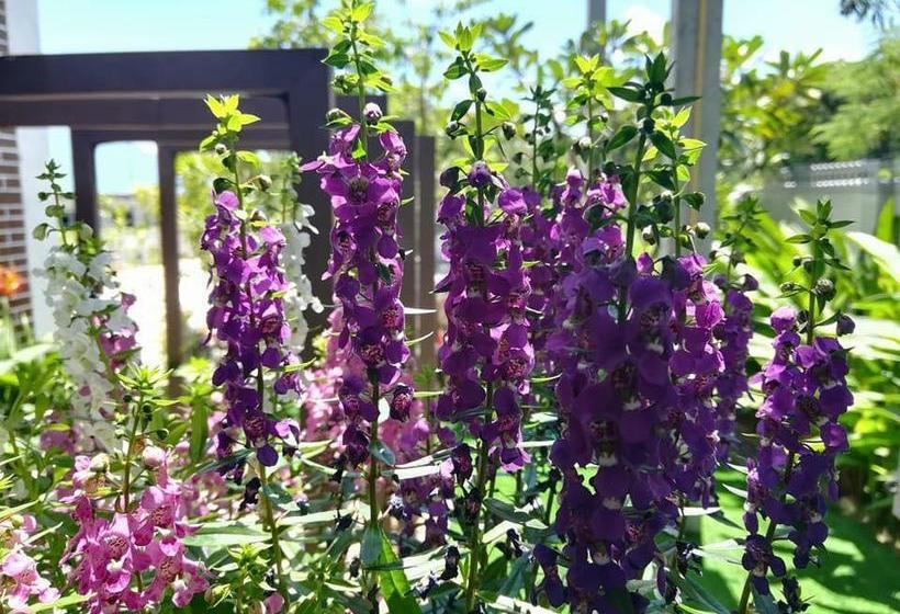 Hotel Sirin Boutique 10