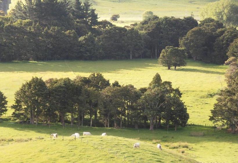 Tracy S Boutique B&b Farmstay 3