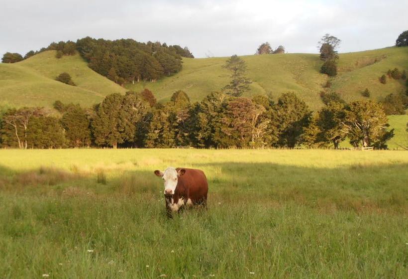 Tracy S Boutique B&b Farmstay 6