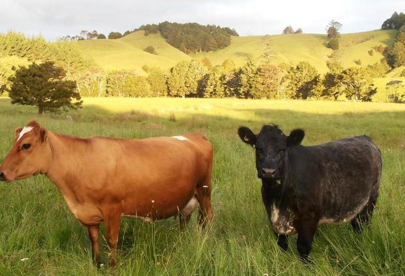 Tracy S Boutique B&b Farmstay 7