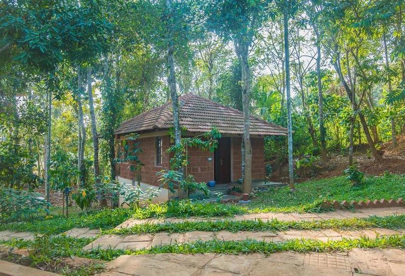 Raindrops Resorts 10