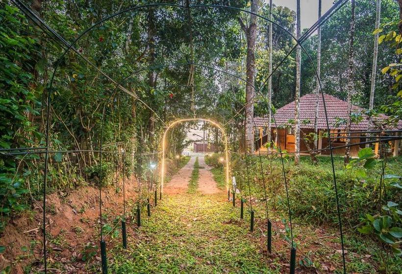 Raindrops Resorts 11