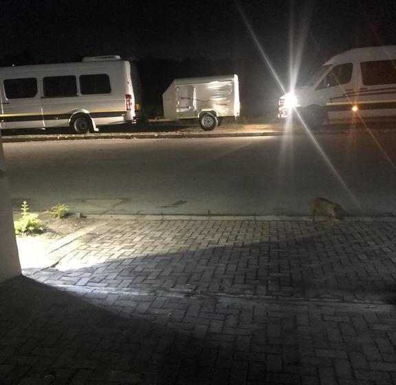 Soeteweide North B&b 4