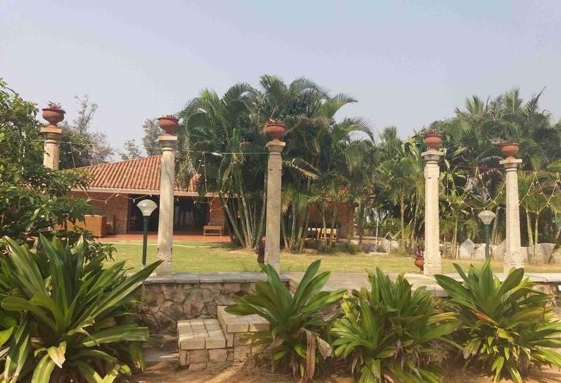 Resort Beach House 16