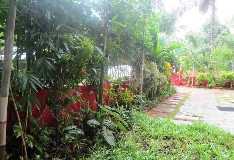 Hotel Villa Flavia 10