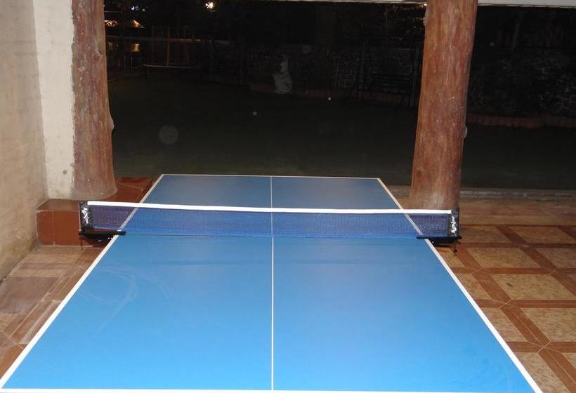 Hotel Hill Forest Resort 12