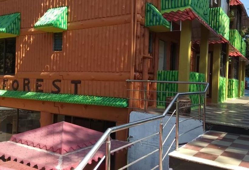 Hotel Hill Forest Resort 14