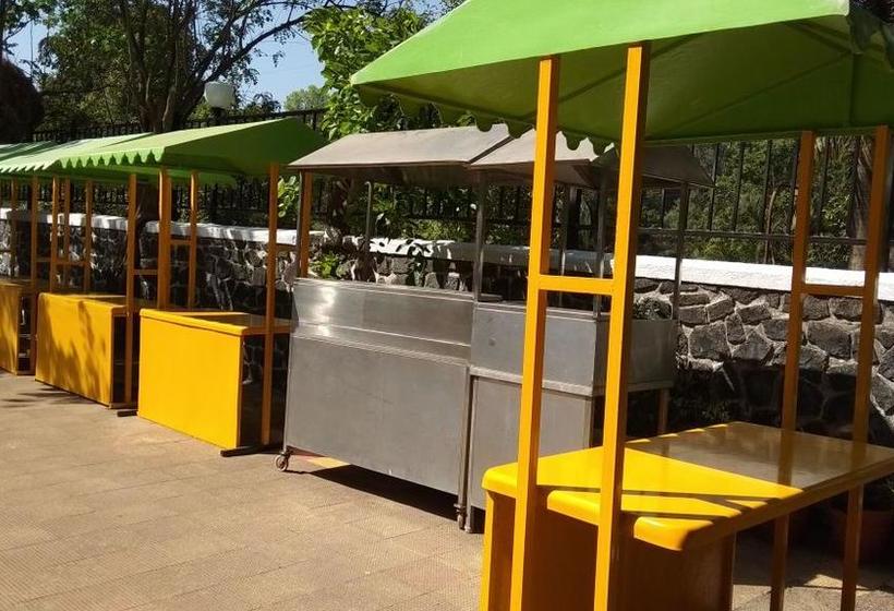 Hotel Hill Forest Resort 19