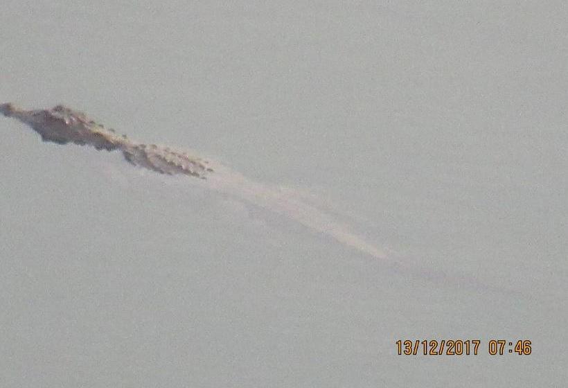 Dormitory Bed & Breakfast 11