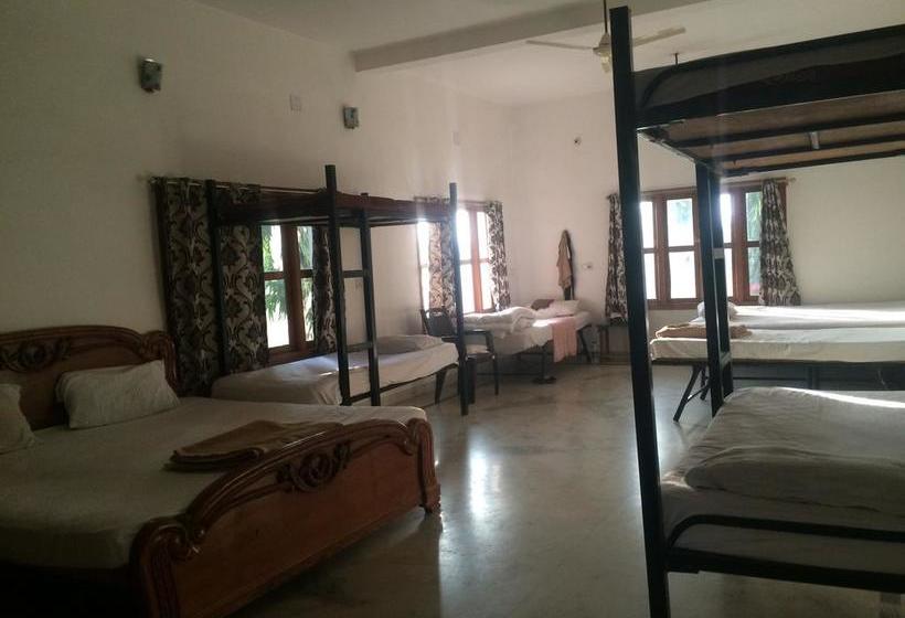 Dormitory Bed & Breakfast 12