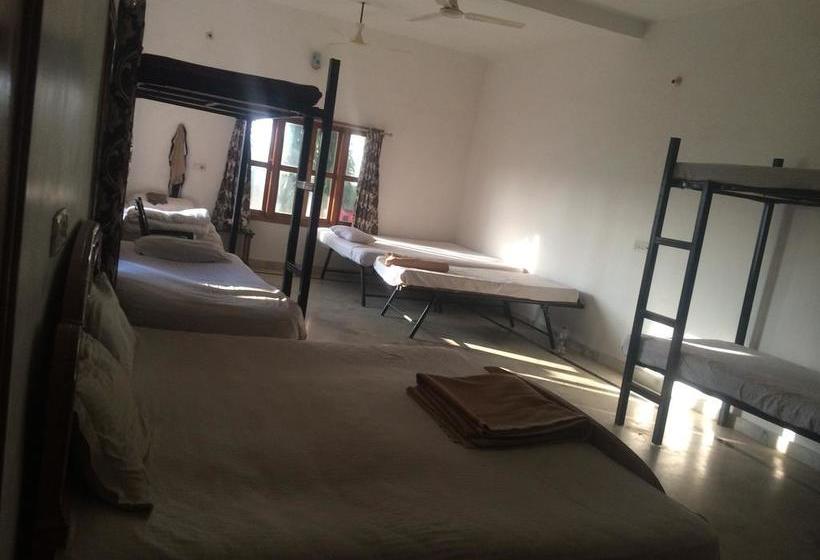 Dormitory Bed & Breakfast 13