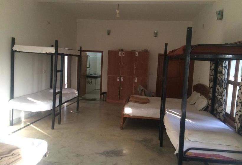 Dormitory Bed & Breakfast 14