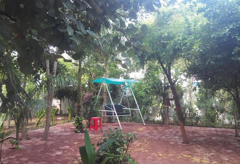 Dormitory Bed & Breakfast 17