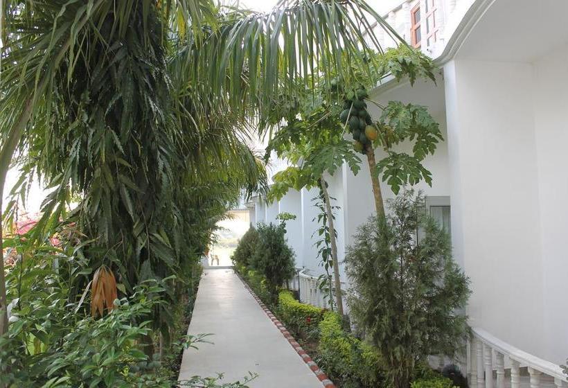 Dormitory Bed & Breakfast 18